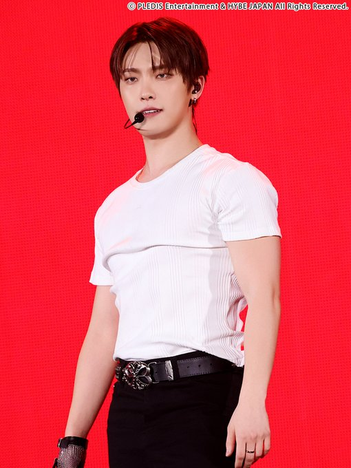 DINO - NEW_ Stage in Japan